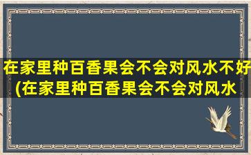 在家里种百香果会不会对风水不好(在家里种百香果会不会对风水 🍀 不好 🐬 呢)